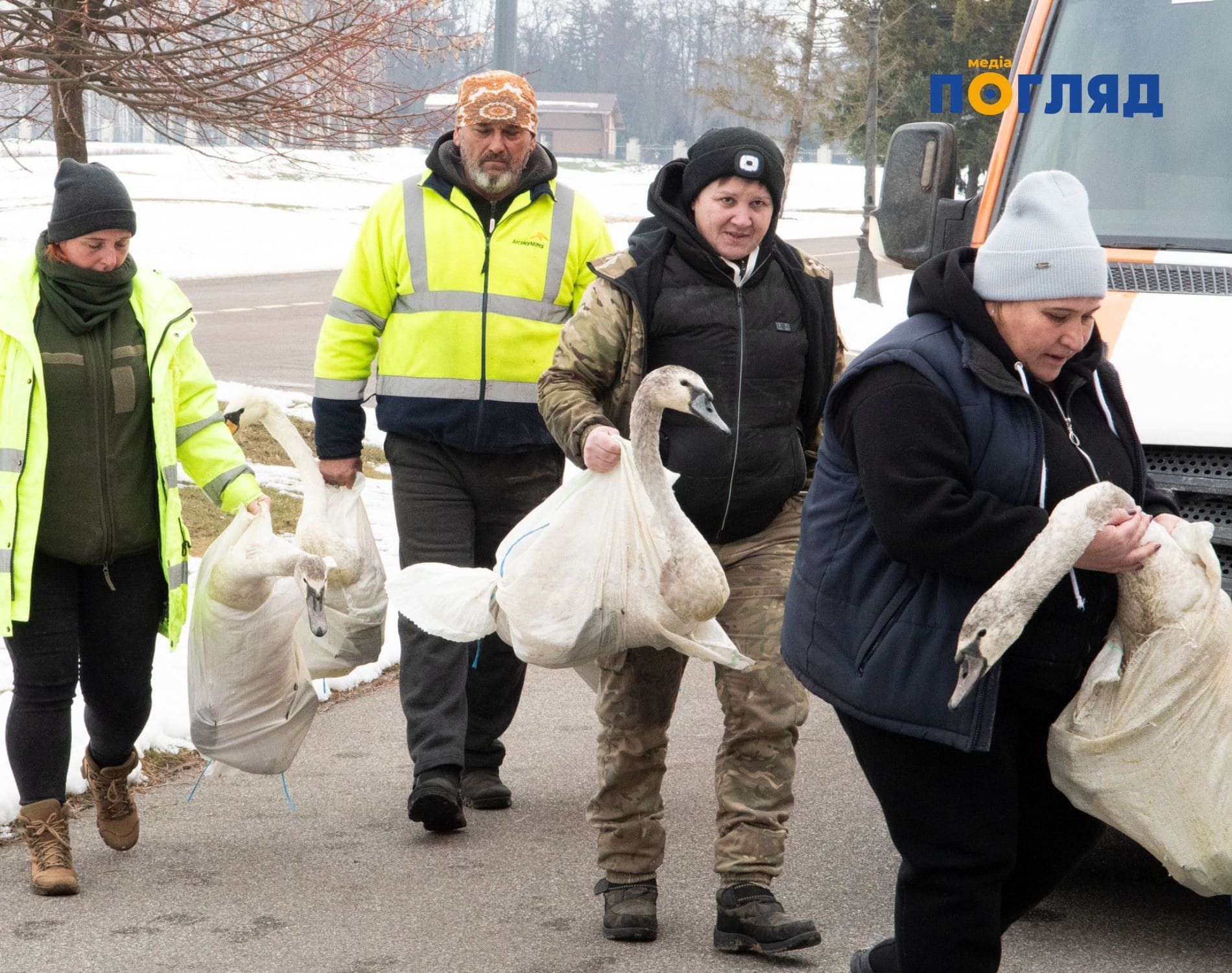 Міндовкілля ініціює створення робочої групи для розвитку реабілітації лебедів у парку-пам'ятці 